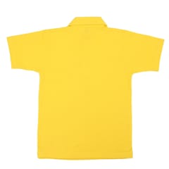 Plain PT T-Shirt With Collar (Std. 1st to 10th)